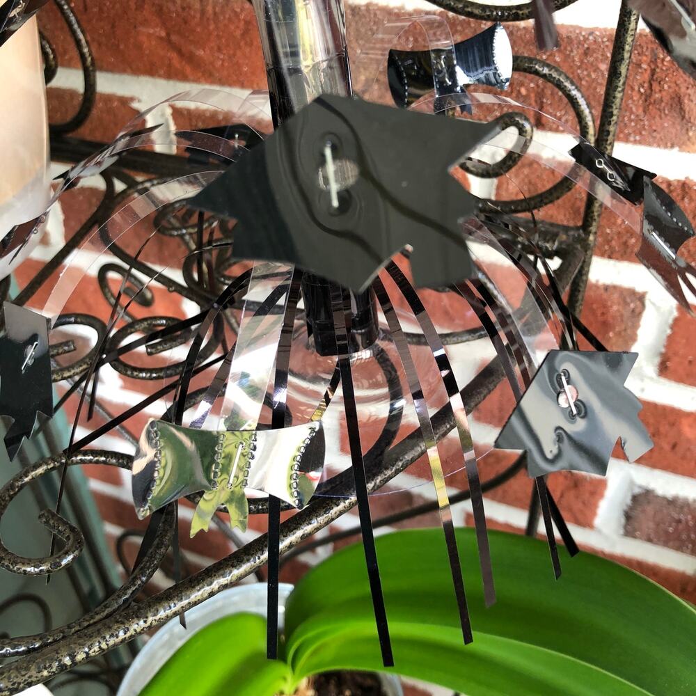 2 Graduation Party Centerpiece Decorations - Picture 15 of 15